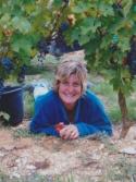 Domaine Peylong Domaine Peylong